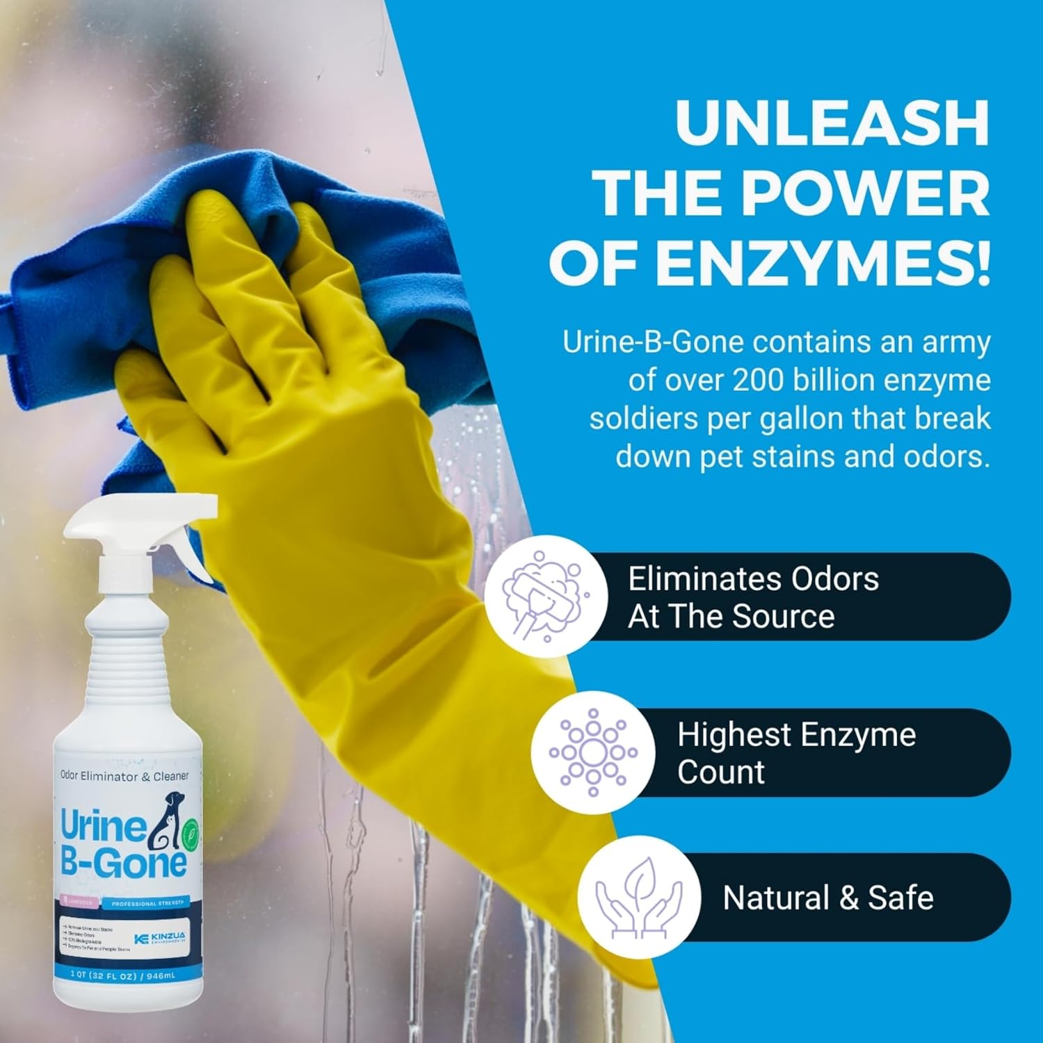 KINZUA ENVIRONMENTAL Urine B-Gone, Professional Enzyme Odor Eliminator & Pet Stain Remover, Human, Cat & Dog Urine Cleaner, Effective on Laundry, Carpets & More, Lavender Scent, 32oz - Pet Explorer