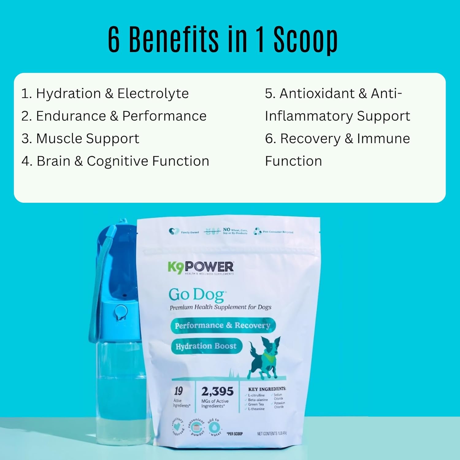 K9 Power Go Dog Hydration & Performance Drink Mix 1 lb - Active Dog Supplement for Muscle Function, Endurance, Recovery, with Electrolytes Support - Pack of 2 - Pet Explorer