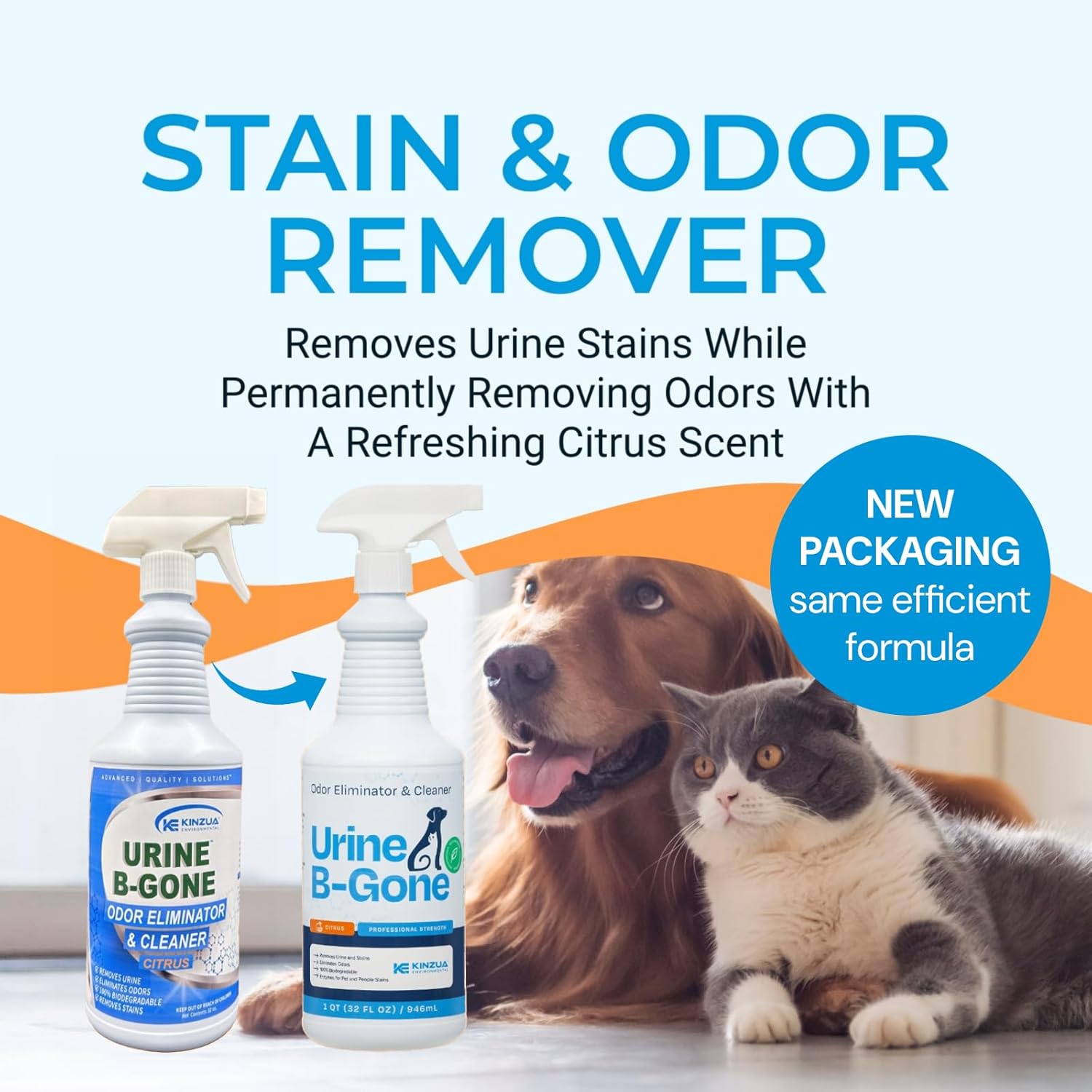 KINZUA ENVIRONMENTAL Urine B-Gone, Professional Enzyme Odor Eliminator & Pet Stain Remover, Human, Cat & Dog Urine Cleaner, Effective on Laundry, Carpets & More, Citrus Scent, 32oz, Pack of Two - Pet Explorer