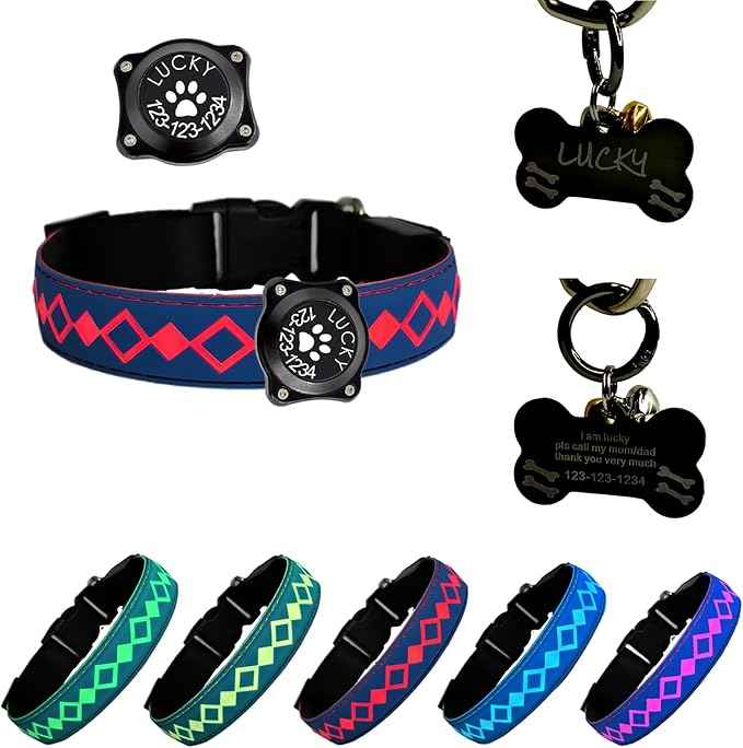 LED Dog Collar with AirTag Holder and Custom ID Tag, 15 Light Modes, Waterproof, Multiple Colors (BLUE, L(15.7-19.7"))