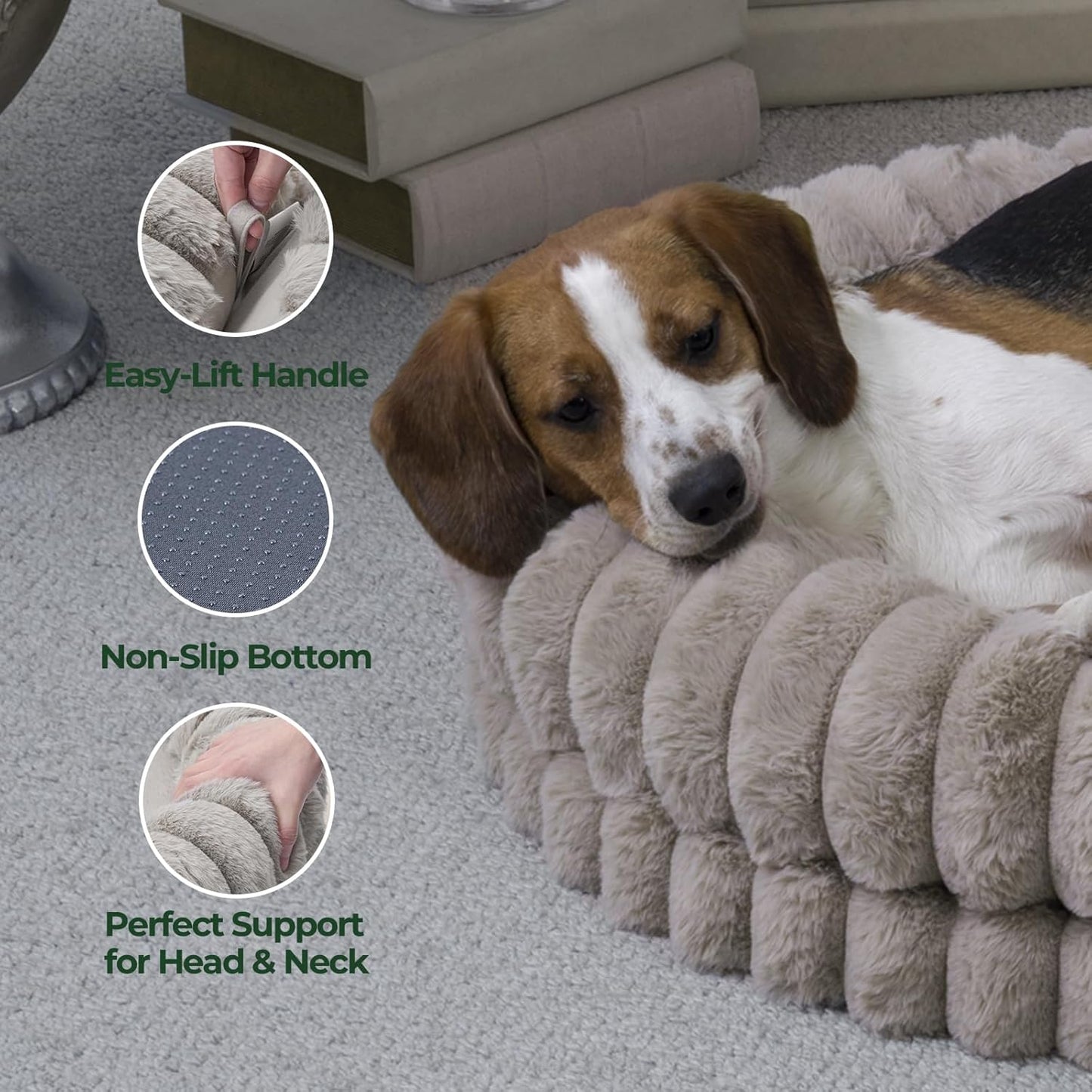 BALANCE Luxury Donut Dog Bed, 30 Inches Round Dog Bed Medium Size Dogs Washable, Orthopedic Calming Dogs Bed for Pets with Anti-Slip Bottom, Oatmeal - Pet Explorer