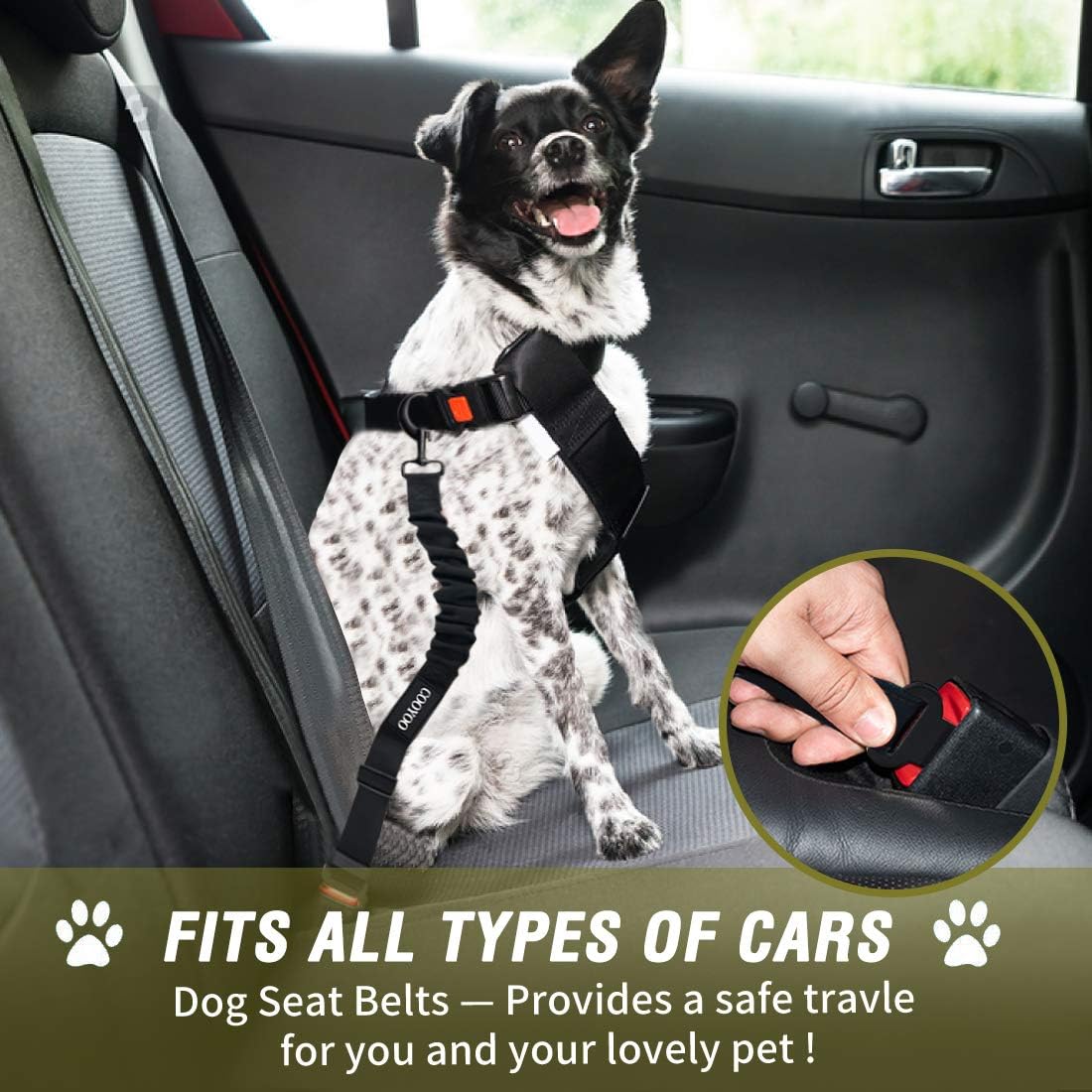 COOYOO Dog Seat Belt,Retractable Dog Car Harness Seat Belt for Car Adjustable Nylon Pet Safety Seat Belts Heavy Duty & Elastic Bungee Buffer - Pet Explorer