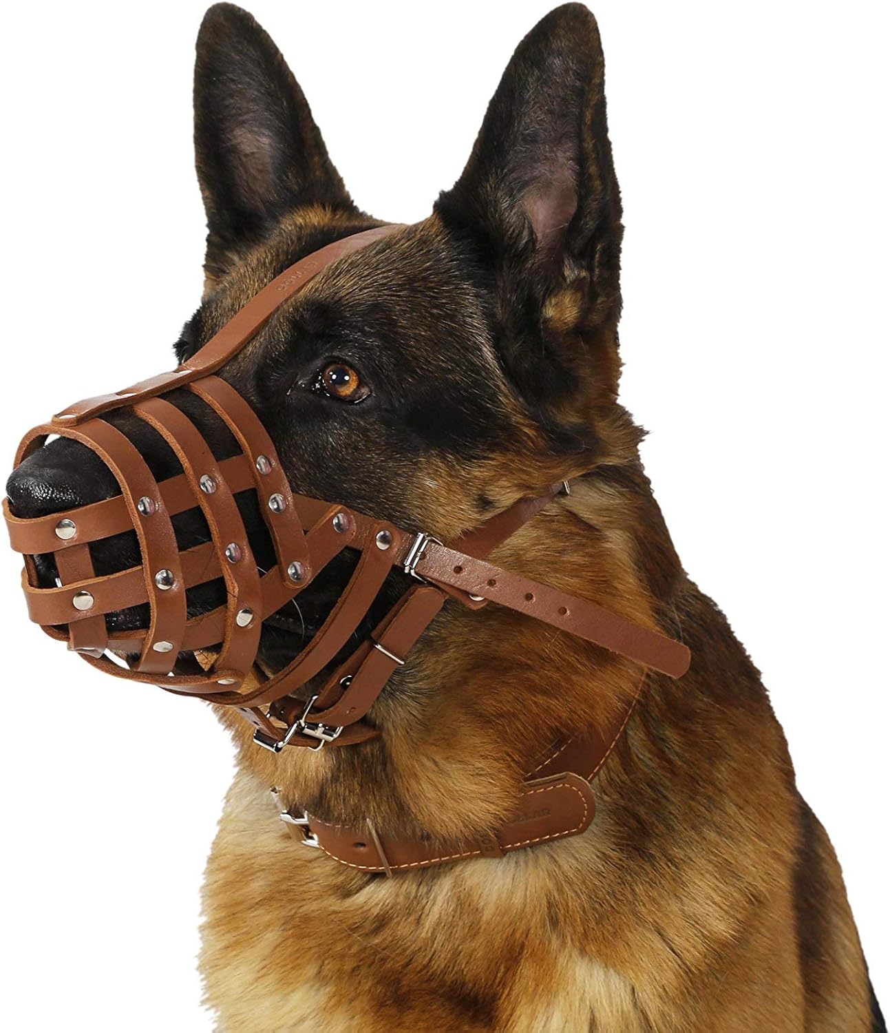 CollarDirect Dog Muzzle German Shepherd Dalmatian Doberman Setter Leather Basket Medium Large Breeds (Chestnut Brown, Large) - Pet Explorer