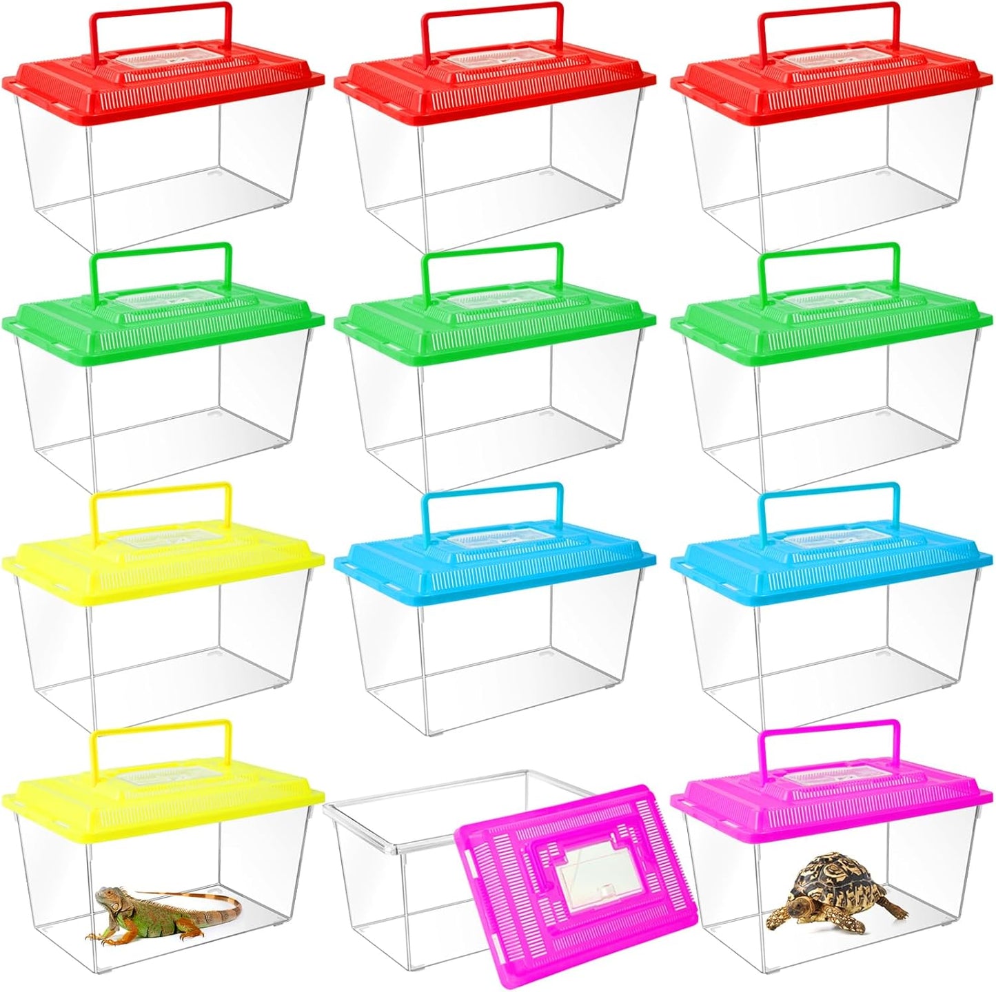 12Pcs Plastic Reptile Terrariums Carrier Cage, Tarantula Enclosure Breeding Box Hatching Container Transparent Fish Tank Turtle Aquarium with Random Color Lid for Lizards, XL(10.6" x 6.7" x 5.9") - Pet Explorer