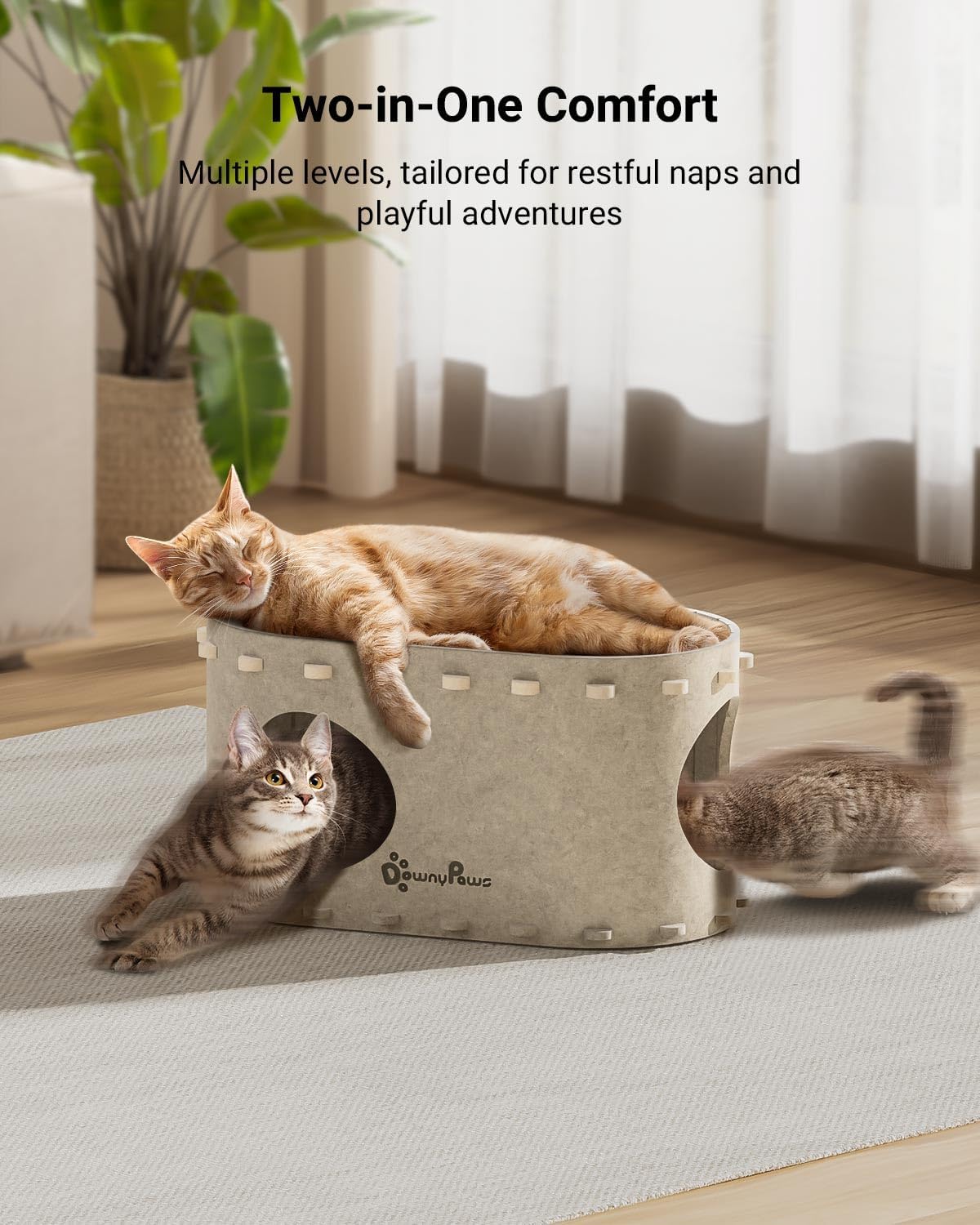 DownyPaws Cat House for Indoor Cats, Cat Bed Cave for Multiple & Large Cats Up to 22 Lbs, Scratch Resistant, Foldable Peekaboo Kitten Caves Tunnel Enclosed Bed, PeekaPurr, Cream - Pet Explorer