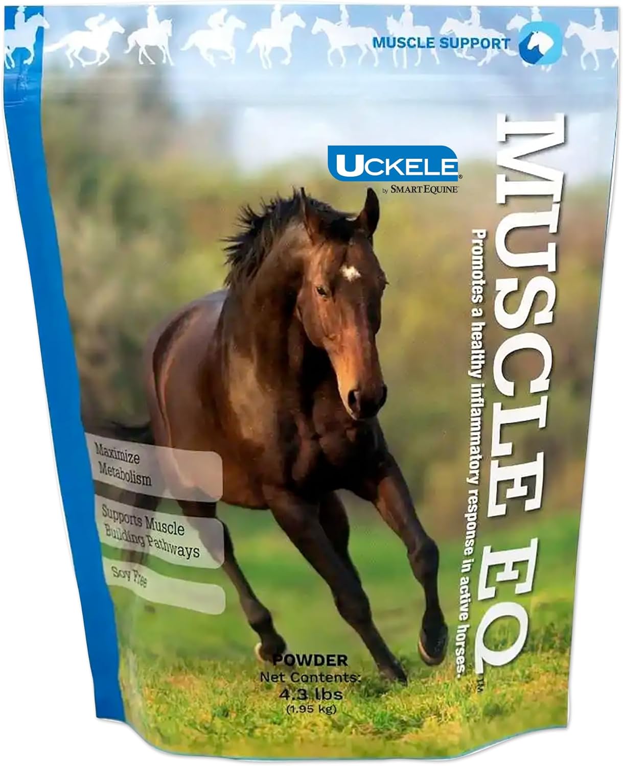 Uckele by SmartEquine Muscle EQ™ Powder | Muscle Supplement with L-Carnitine for Horses | Amino Acid Beta-Alanine for Optimal Muscle Function & Supports Recovery | 4.3 lb Bag