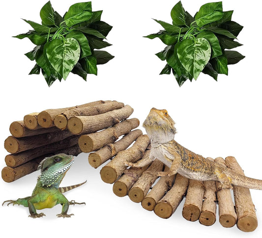 Hamiledyi 11.8 x 6.7 Inches Wooden Reptile Hideout Bearded Dragon Bendy Bridge Climbing Ladder Hiding Hut Reptiles Hide Cave Habitat Decor for Lizards Gecko Spiders Snakes Tortoise(Medium) - Pet Explorer