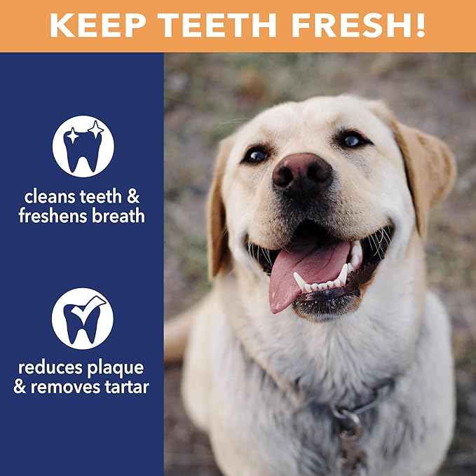 Pet Factory CareChewz Collagen 6-7" Skinny Braided Sticks Dog Chew Treats - Chicken Flavor, 5 Count/1 Pack