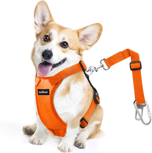 Dog Seat Belt, Safety Vest Dog Car Harness with Adjustable Buckle Dog Seat Belt for Vehicle Nylon Pet Safety Seat Belts Heavy Duty(M, Orange) - Pet Explorer