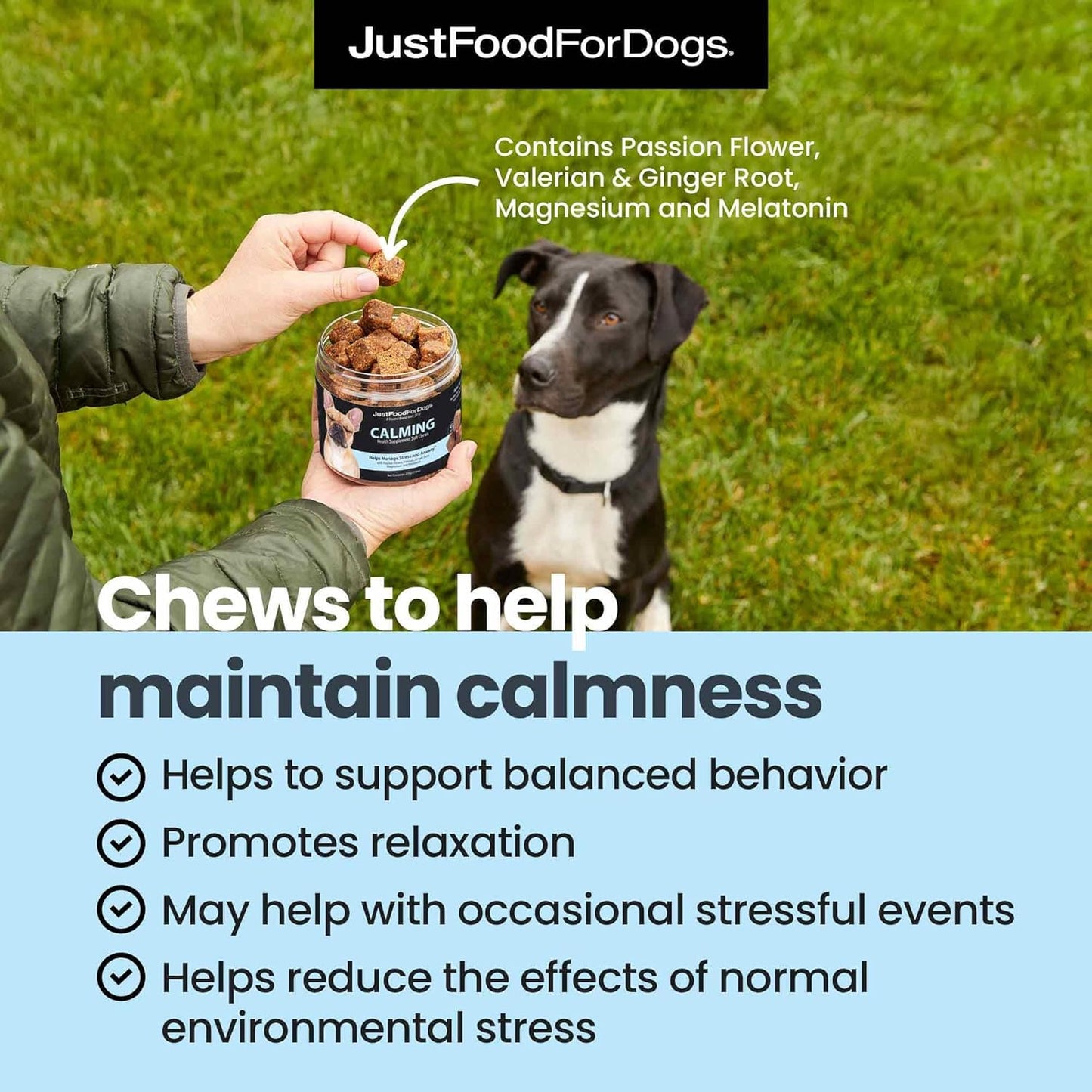 JustFoodForDogs Calming Supplement for Dogs Soft Chew to Support Stress and Anxiety, Melatonin, Relaxation Aid, Human-Grade Ingredients - 45 Count - Pet Explorer