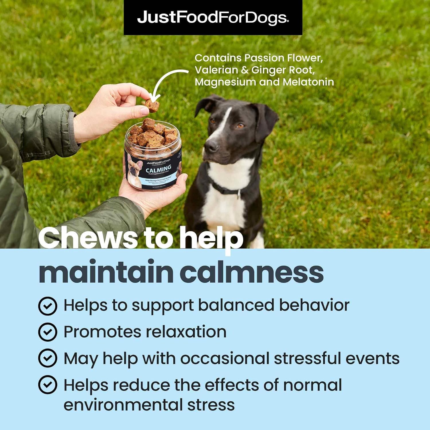 JustFoodForDogs Calming Supplement for Dogs Soft Chew to Support Stress and Anxiety, Melatonin, Relaxation Aid, Human-Grade Ingredients - 45 Count - Pet Explorer