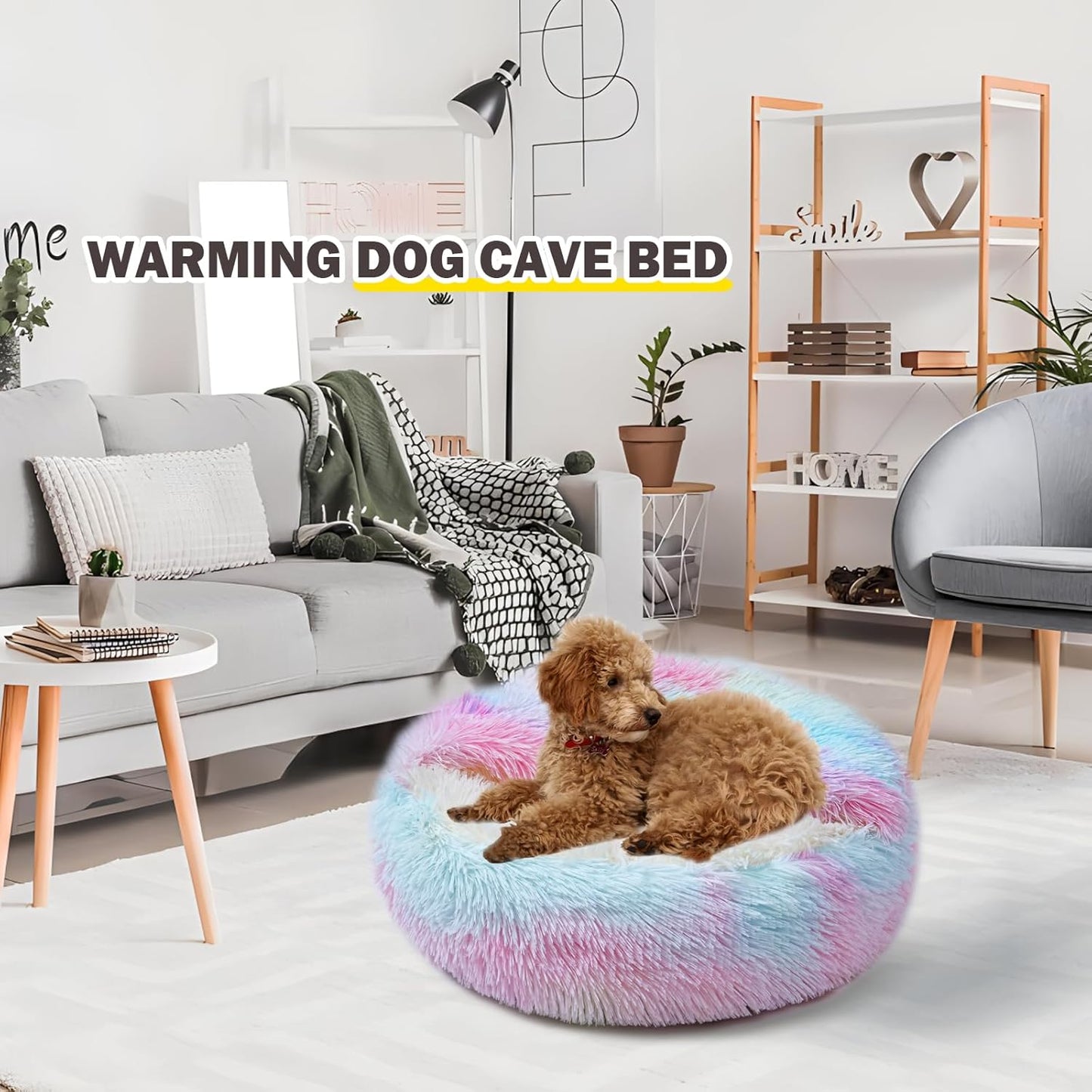 Cat Bed for Indoor Cats, Calming Cozy Cave with Self-Warming Plush, Entire Bed Machine Washable & Anti-Slip Base, Breathable Pet Bed for Small Cats&Dogs All Seasons (Dazzling Colors, 20 * 20inch) - Pet Explorer
