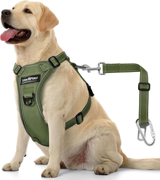 Dog Seat Belt Harness for Car, Dog Car Harness Adjustable Mesh Breathable & Dogs Seatbelt Safety Tether with Elastic Bungee for Small Medium Large Pets(Army Green, XL) - Pet Explorer