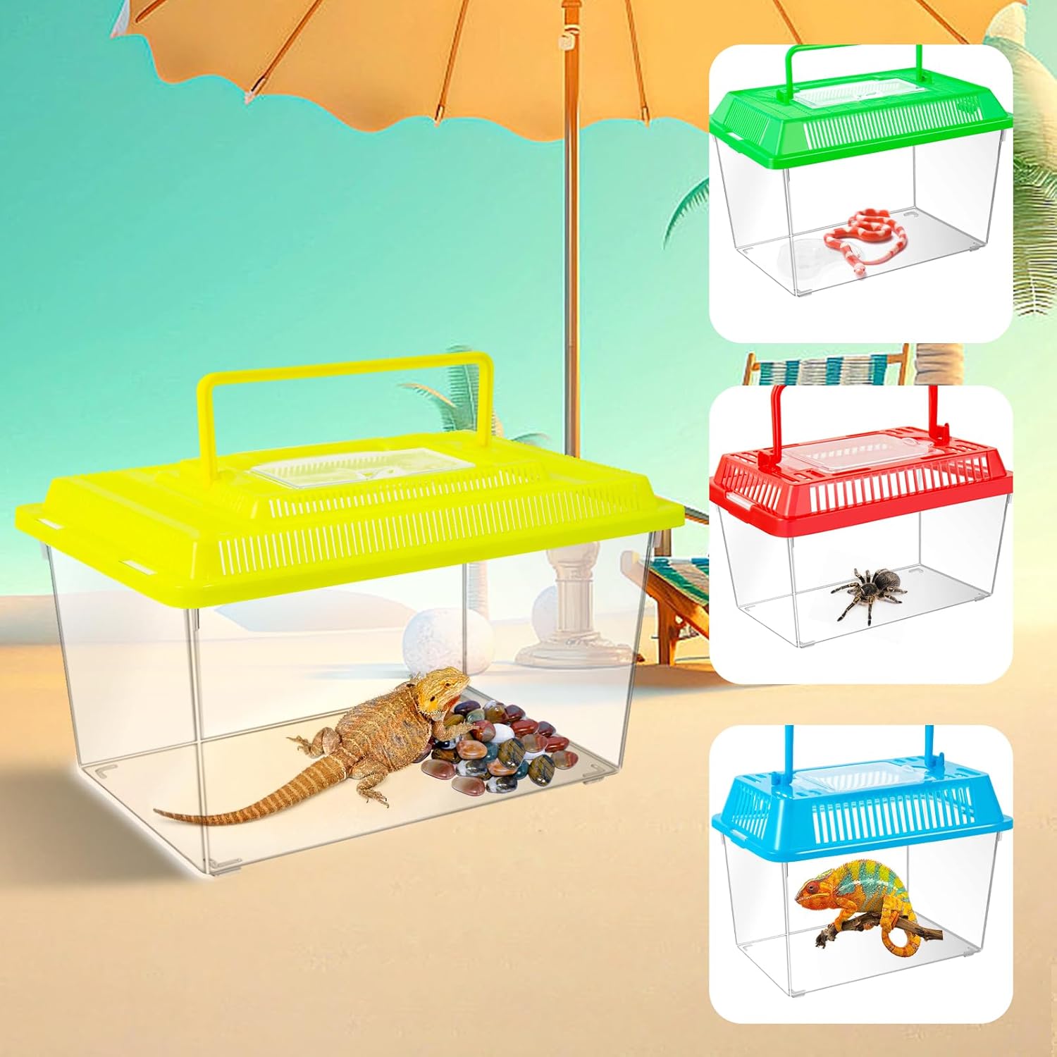 12Pcs Plastic Reptile Terrariums Carrier Cage, Tarantula Enclosure Breeding Box Hatching Container Transparent Fish Tank Turtle Aquarium with Random Color Lid for Hermit Crab, M(7" x 4.3" x 4.3") - Pet Explorer