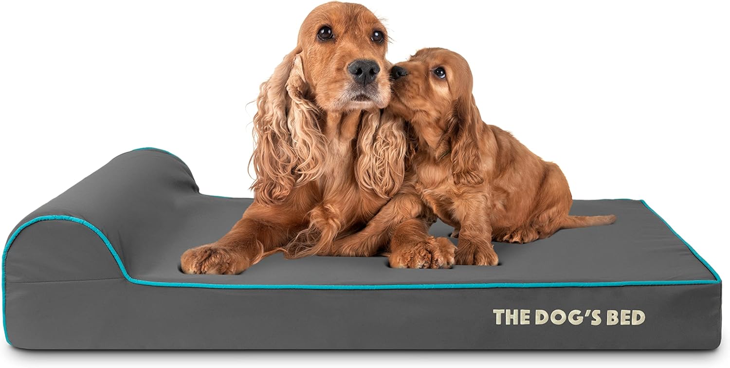The Dog’s Bed Orthopedic Headrest Dog Bed Large Grey with Blue Trim, Memory Foam, Pain Relief for Arthritis, Hip & Elbow Dysplasia, Post Surgery, Veterinary Approved, Waterproof Washable Cover - Pet Explorer