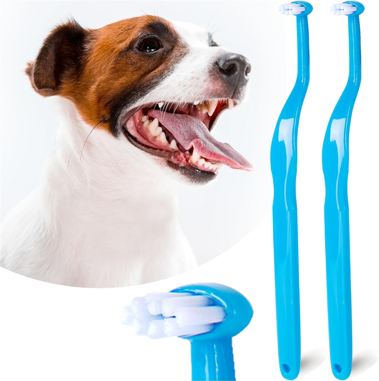 Small Dog Toothbrush, Cat & Puppy Tooth Brushing Kit, Mini Head Teeth Brush for Kitten & Tiny Pet, Doggy Toothbrushes Deep Dental Cleaning, 2 PCS - Blue - Pet Explorer