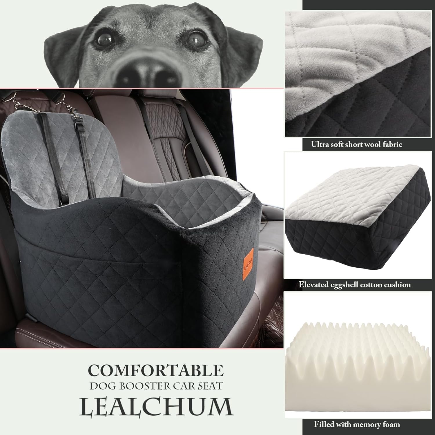 Dog Booster Car Seat for Small/Medium Dogs,6in Memory Foam Elevated Cushion,Fully Detachable and Washable,2 Clip-On Safety Leashes,Anti-Slip Base(Black/Grey,Medium) - Pet Explorer