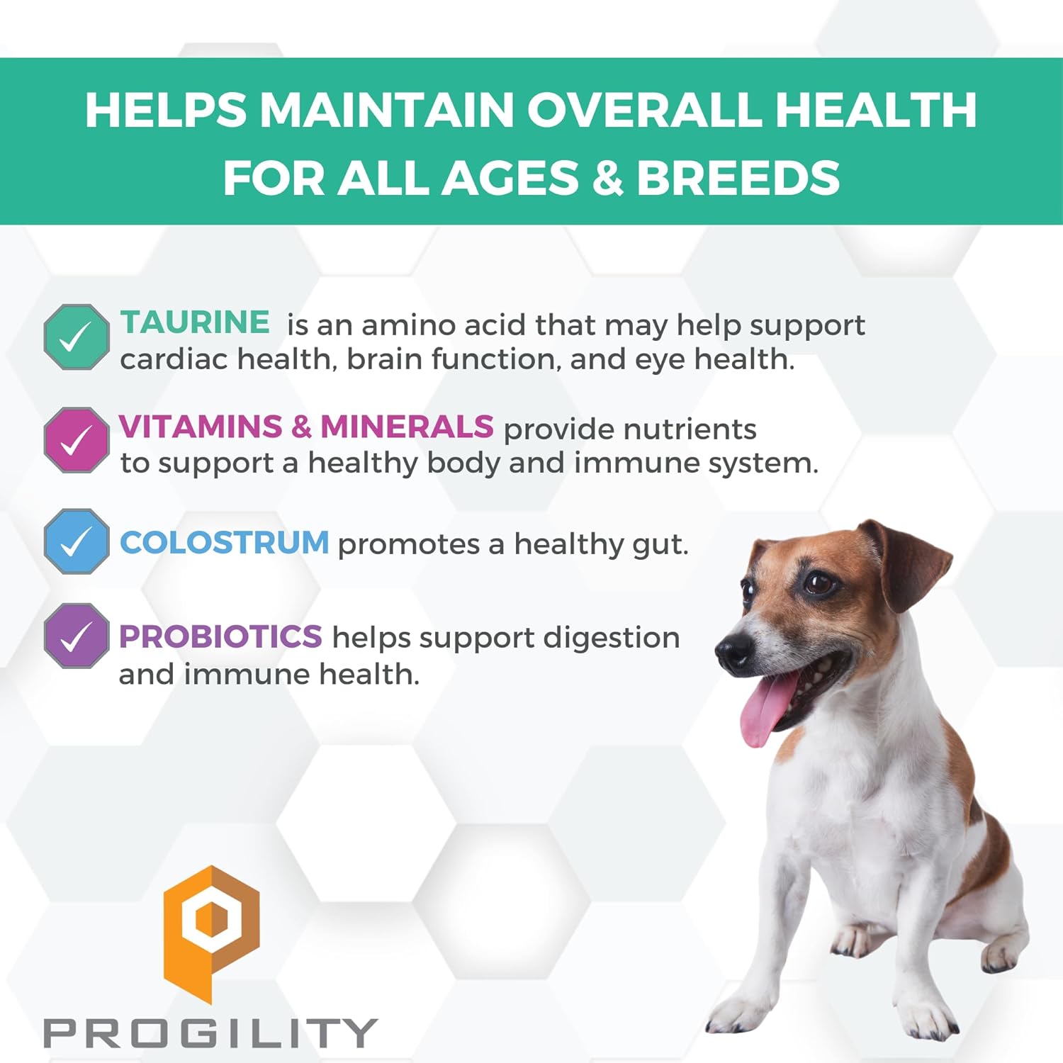 Nootie PROGILITY Daily Mini Multivitamin Chews for Dogs - Supports Immunity, Heart, Eye, Brain, and Bone Health with Taurine- for All Dog Sizes - 60 Soft Chews - Sold in Over 5,000 Pet Stores - Pet Explorer