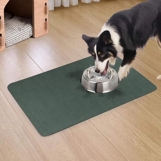 Quick Dry Absorbent Dog Food Mat, 24 x 16 in Diatom Mud Dog Water Bowl Mat, No Messy Anti-Slip Pet Feeding Mat for Medium and Large Dogs - Pet Explorer