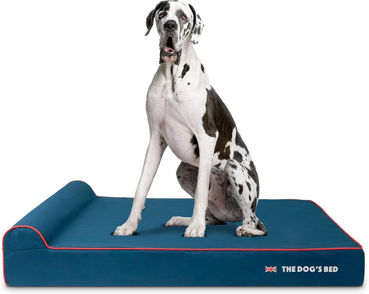 The Dog’s Bed Orthopedic Headrest Dog Bed XXL Blue Oxford with Red Trim UK Flag Dog Bed54x36, Memory Foam, Hip & Elbow Dysplasia, Post Surgery, Veterinary Approved, Waterproof Washable Cover - Pet Explorer