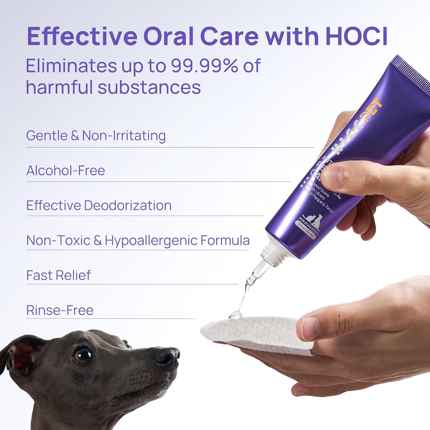 HICC PET Dog Dental Care, Oral Hydro Gel Teeth Cleaning and Breath Freshener for Dog and Cat, Relieve Gum Redness, Soothes Inflammation, Reduce Tarter and Plaque, Safe for All Animals, 2 Fl Oz - Pet Explorer