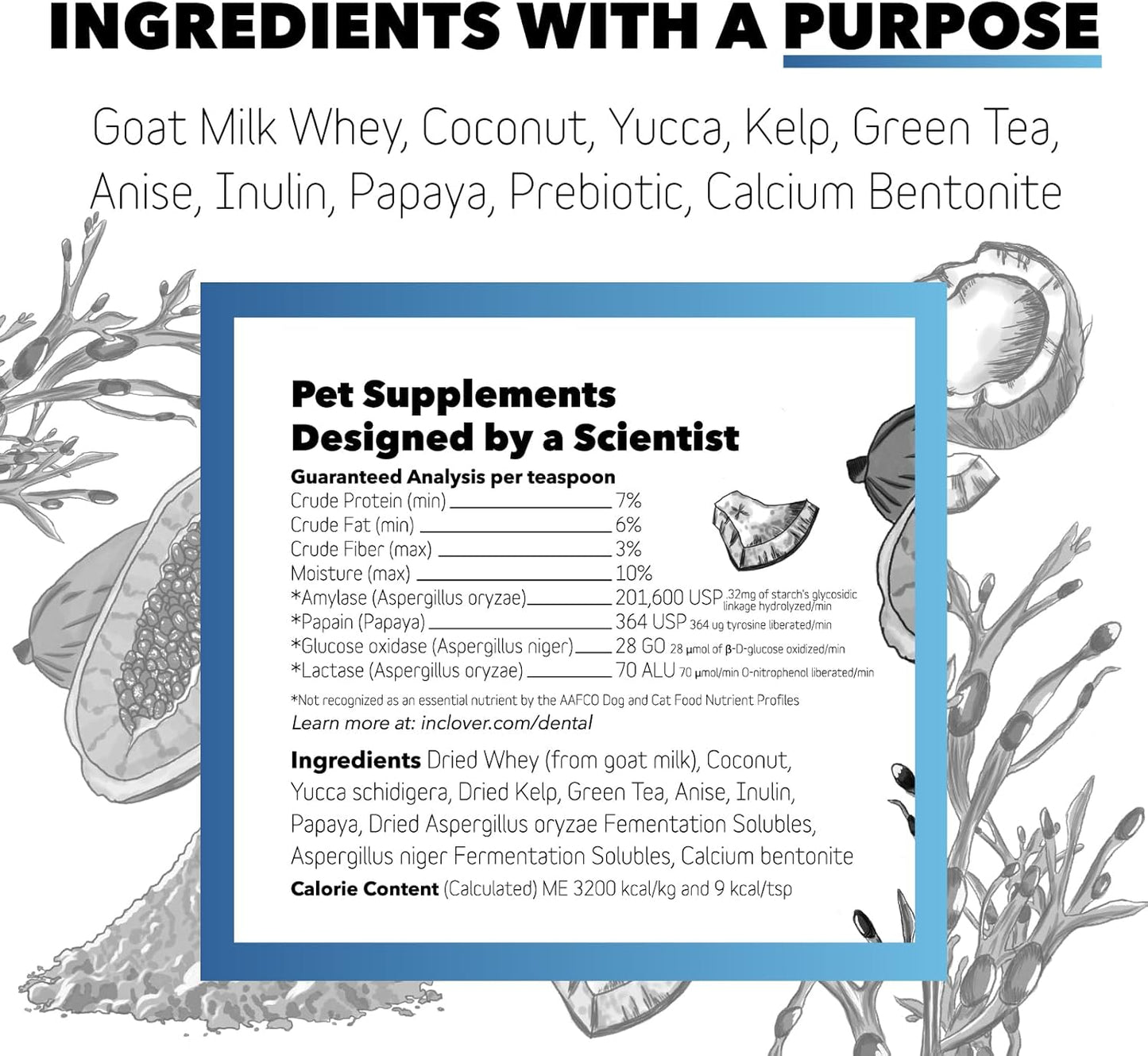 InClover Dog and Cat Dental Powder for Teeth Cleaning and Enamel and Gum Health, Natural Pet Supplement, Breath Freshener - Naturally Flush Away Tartar, No Brushing Necessary - Pet Explorer