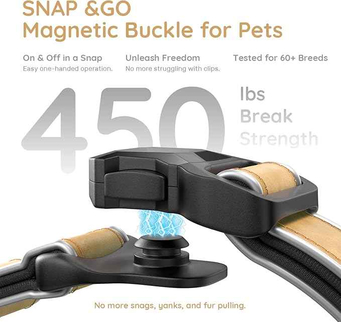 WhoseID Premium Leather Dog Collar - AirTag Dog Collar | Fur-Safe Magnetic Buckle | IPX8 Waterproof Reflective Small Dog Collar with AirTag Holder