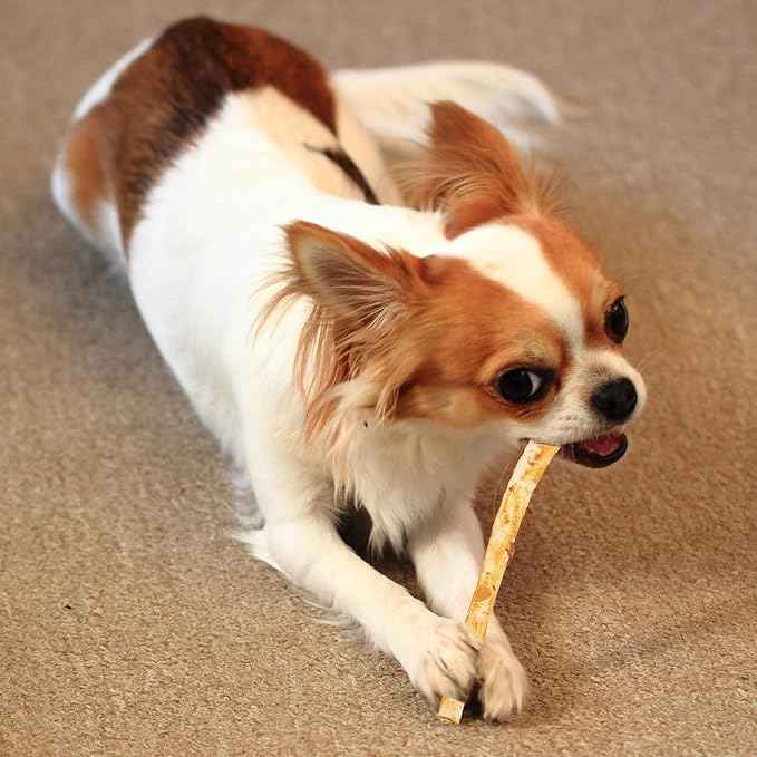 Fieldcrest Farms Nothing to Hide Natural Rawhide Alternative Small Twist Stix for Dogs - (10 Sticks) All Natural Easily Digestible Chews for All Breed Dogs - Great for Dental Health (Pack of 2)