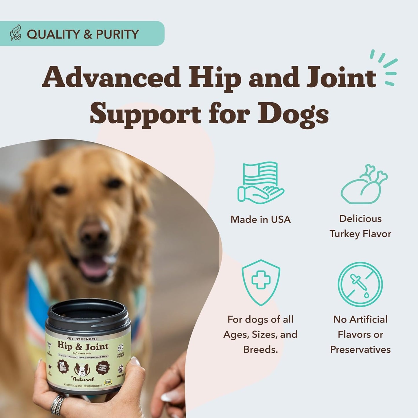Natural Dog Company Vet Strength Hip & Joint Chews for Senior Dogs (90ct) Joint & Flexibility Support, Arthritis Relief for Senior Dogs, 1.3X Glucosamine, 2X Green Lipped Mussel & MSM for Dog Mobility - Pet Explorer