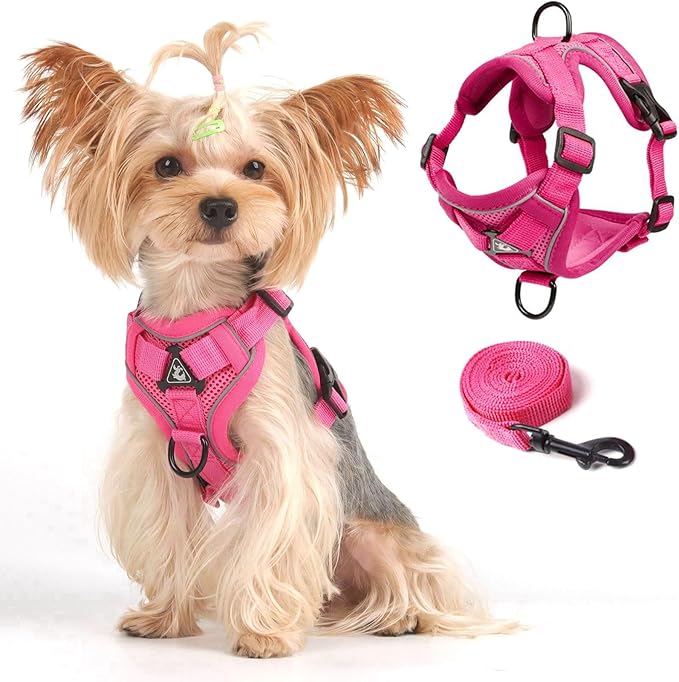 Vest Harness Leash Set for Small Dog Large Cat, Upgraded Escape Proof Adjustable Jacket with Lead for Puppy Fat Cat Outdoor Walking, Soft Breathable Mesh Coat with Reflective Strip for Dark XL Pink