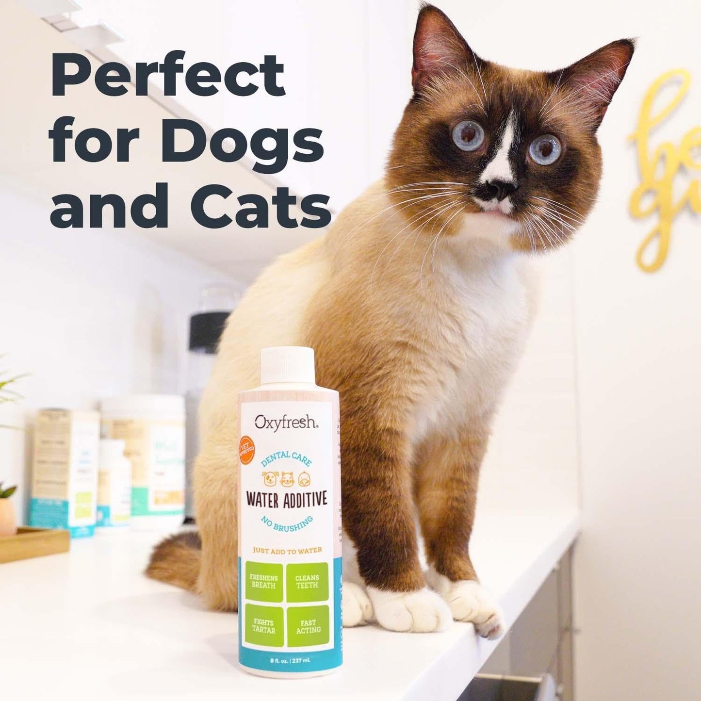 Oxyfresh Premium Pet Dental Care Solution Pet Water Additive: Best Way to Eliminate Bad Dog Breath and Cat Bad Breath - Fights Tartar & Plaque - So Easy, Just Add to Water! Vet Recommended 16 oz. - Pet Explorer
