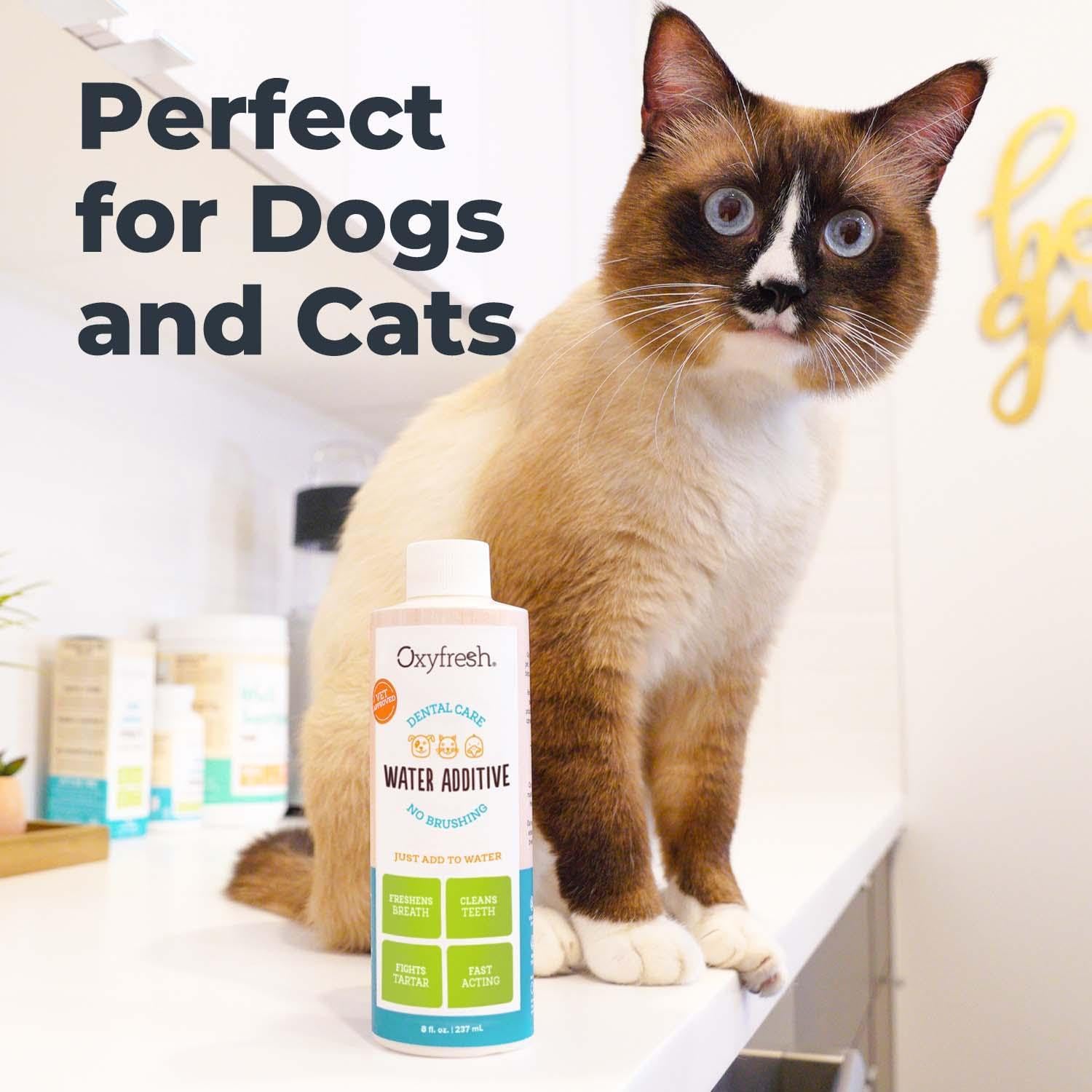 Oxyfresh Premium Pet Dental Care Solution Pet Water Additive: Best Way to Eliminate Bad Dog Breath and Cat Bad Breath - Fights Tartar & Plaque - So Easy, Just Add to Water! Vet Recommended 16 oz. - Pet Explorer