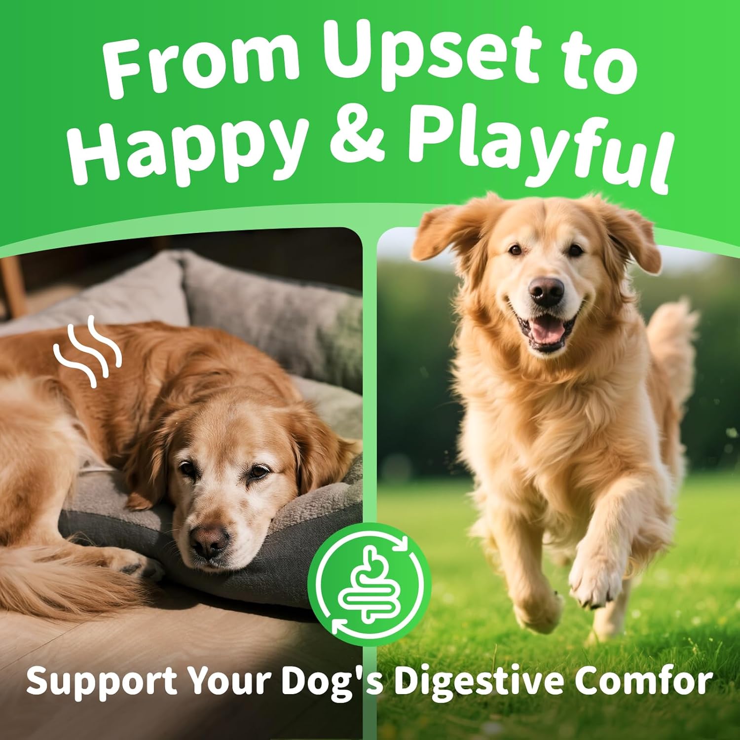 Premium Dog Digestive Enzymes and Probiotics with Pumpkin for Gut Health Support - Daily Chews for Digestion & Gas Relief - Chicken Flavor-90 Count - Pet Explorer