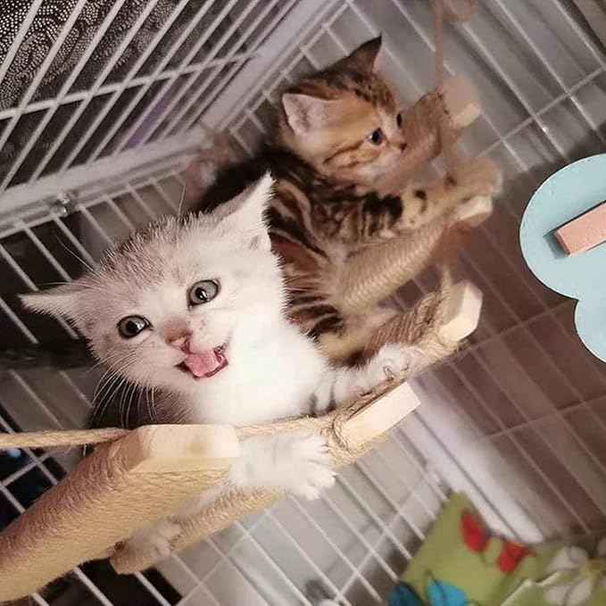 Cat Climbing Kit - Sisal Rope Cat Bridge, Cage Ladder, Scratcher & Step Platform Tower, Cat Ladder
