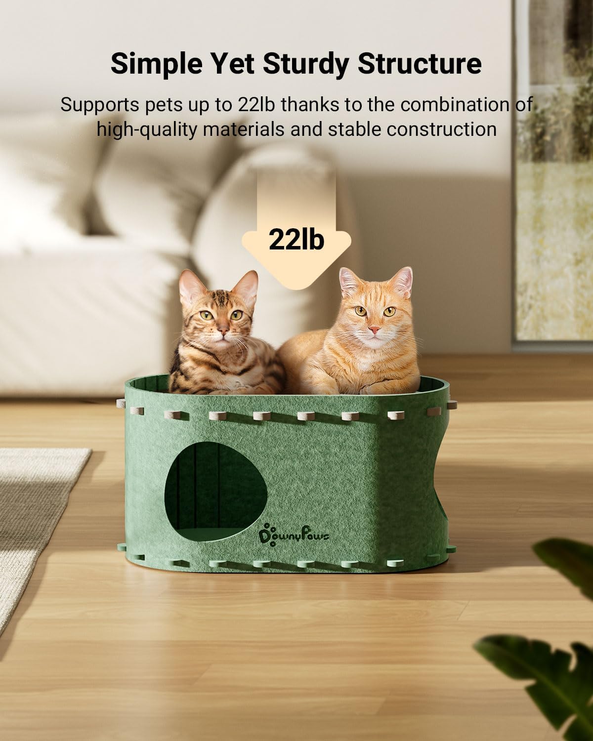 DownyPaws Cat House for Indoor Cats, Cat Bed Cave for Multiple & Large Cats Up to 22 Lbs, Scratch Resistant Peekaboo Cat Caves, Foldable Tunnel Enclosed Bed, PeekaPurr, Forest - Pet Explorer