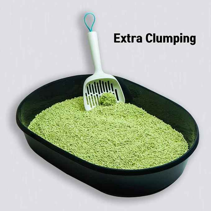 I AM TOFU - Tofu Cat Litter, Natural Flushable Extra Clumping Pellet Litter, 10LB x 3 (Green Tea 2 & Charcoal 1)