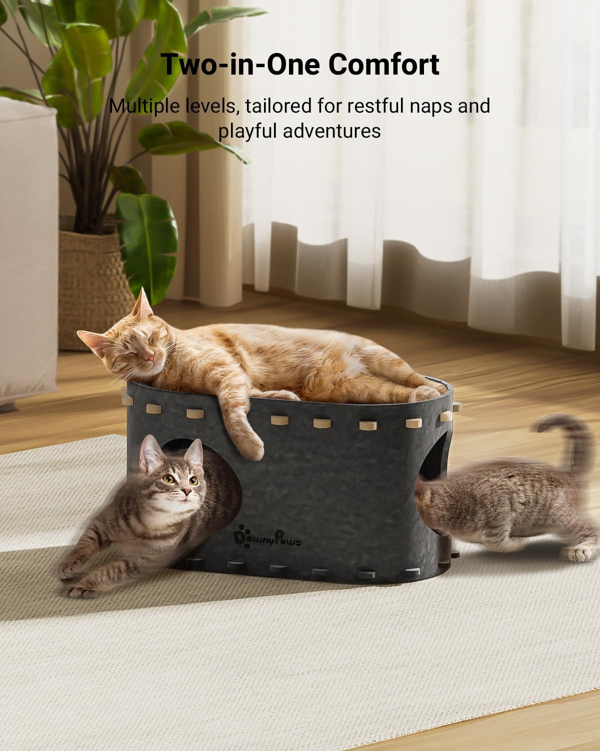 DownyPaws Cat House for Indoor Cats, Cat Bed Cave for Multiple & Large Cats Up to 22 Lbs, Scratch Resistant Peekaboo Cat Caves, Foldable Tunnel Enclosed Bed, PeekaPurr, Sesame Gray - Pet Explorer