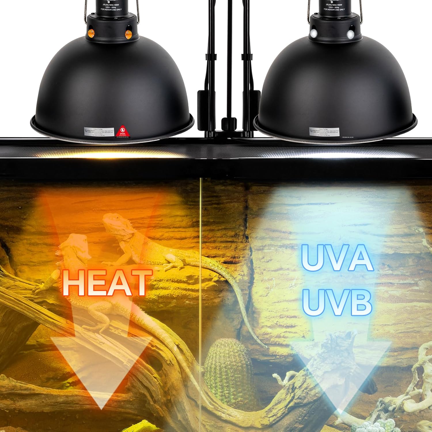 2 Pack Reptile Light Fixture, 8.5in Deep Dome Reptile Lamp Fixture, Optical Reflection Cover, Separate Switche & Hook, Terrarium Light Fixture for Reptile Heat Basking UVB Bulbs, 150W, Black - Pet Explorer