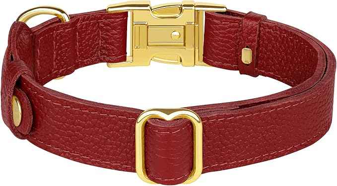 Leather Airtag Dog Collar - Soft Tracking Dog Collar with Apple AirTag Holder and Metal Buckle - Safety GPS Pet Collars for Small Medium Large Dogs Puppy Pink Red (Red, S, 12"-15" Neck Fit)