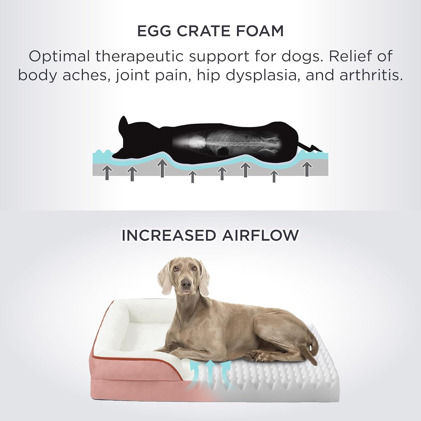 Bedsure L Plus Orthopedic Dog Bed for Large Dogs - Washable Dog Cat Bed Waterproof, L Plus Big Comfort Dogs Couch Sofa with Washable Removable Cover, Pet Bed with Nonskid Bottom, Pink, 38" - Pet Explorer