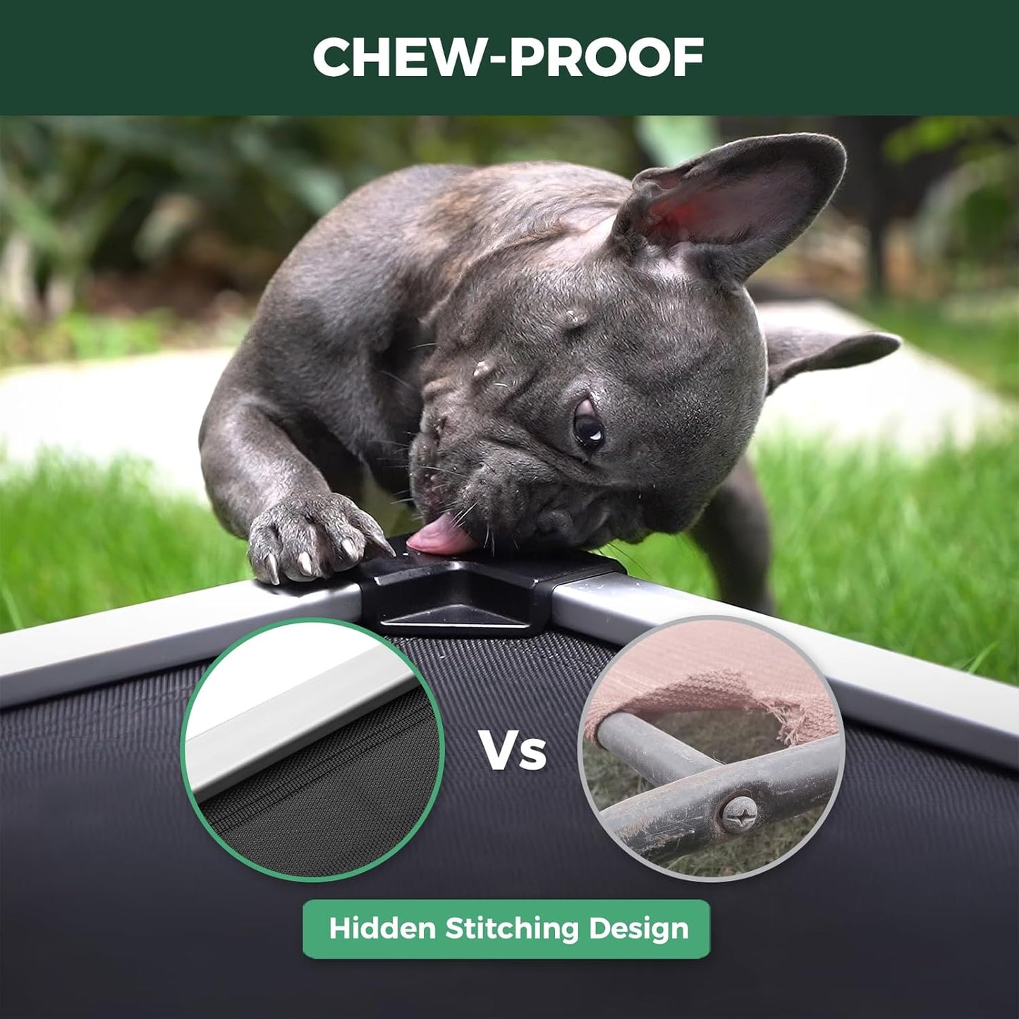 FXW TitanNest Chew-Proof Elevated Dog Bed, Raised Cot for Indoor/Outdoor/Camping Use, Durable & Waterproof Cooling Pet Bed for Toy Dogs, 24.0" L x 20.0" W x 4.1" H, Black