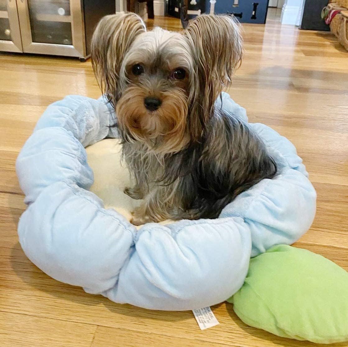 TONBO Soft Plush Small Cute and Cozy Nature Dog Cat Bed, Washer and Dryer Friendly (Blue Flower) - Pet Explorer