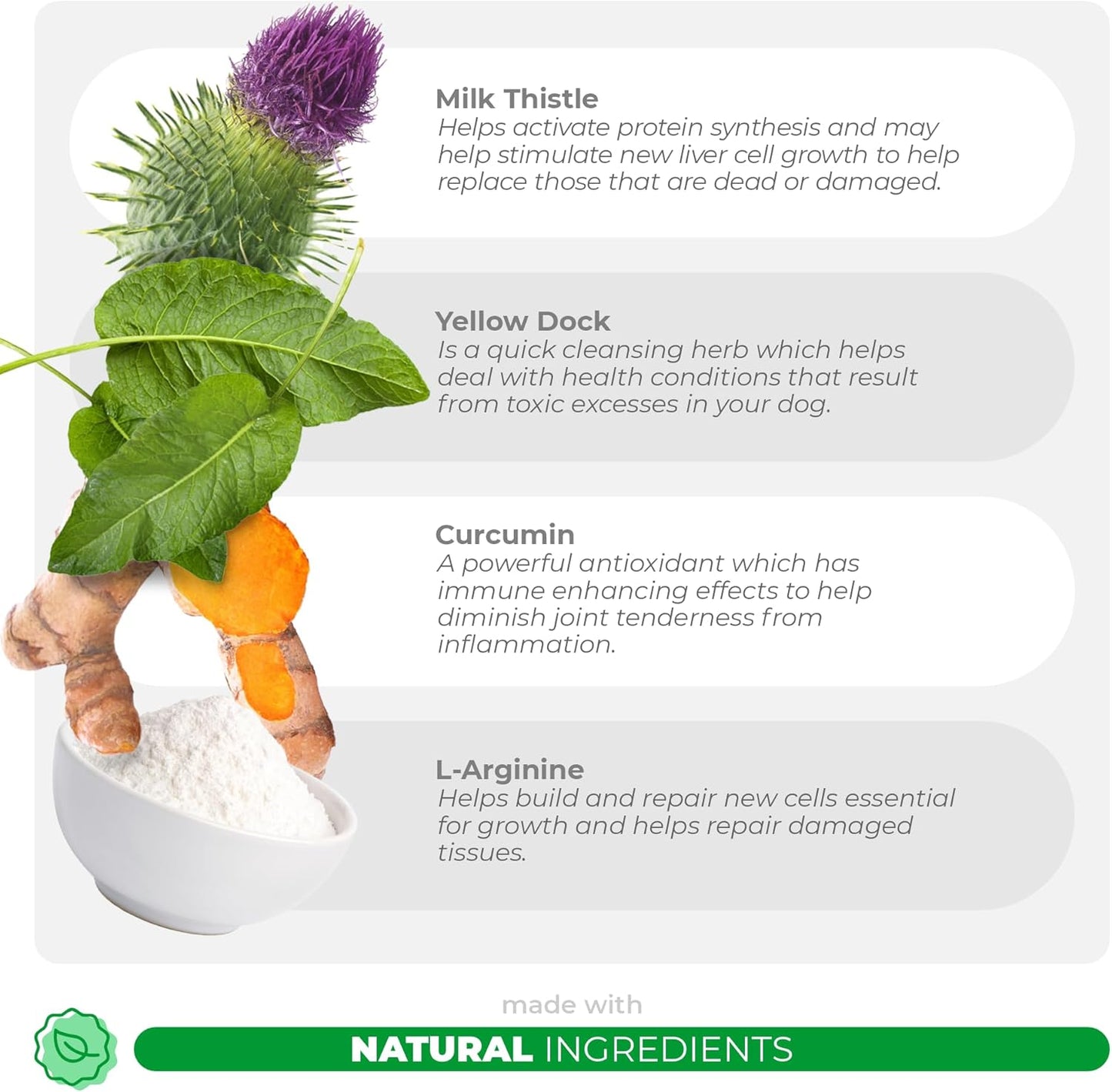 Milk Thistle for Dogs - 90 Soft Chews - Liver and Kidney Support - Hepatic Support with EPA & DHA - Detox - Liver Supplement for Dogs with Choline and L-Arginine. - Pet Explorer