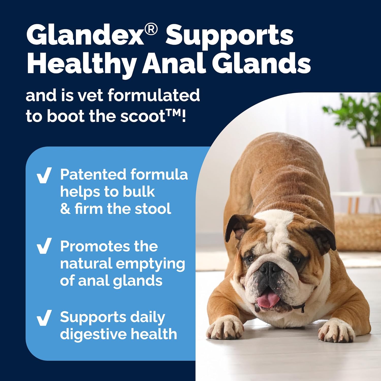 Glandex Dog Fiber Supplement Powder for Anal Glands with Pumpkin, Digestive Enzymes & Probiotics - (Regular or Advanced Strength) - Boot The Scoot (4.25 oz, Advanced Strength Duck & Bacon) - Pet Explorer