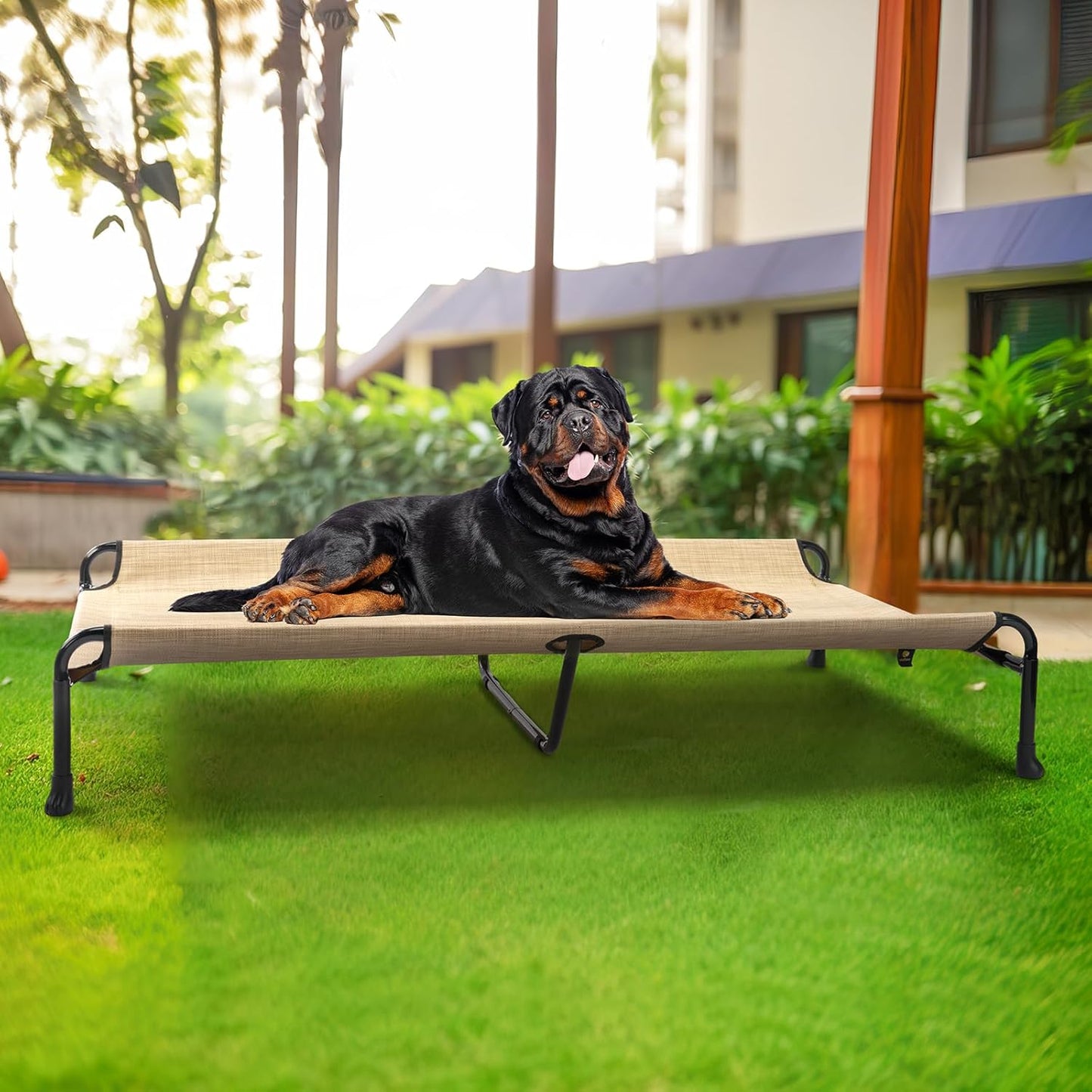 Veehoo Cooling Elevated Dog Bed - Raised for Large Dogs, Outdoor With Guardrail, Upgraded Non-Slip Feet, Breathable Teslin Mesh, Portable Camping Cot, 47 x 29 Inches, Beige Coffee - Pet Explorer