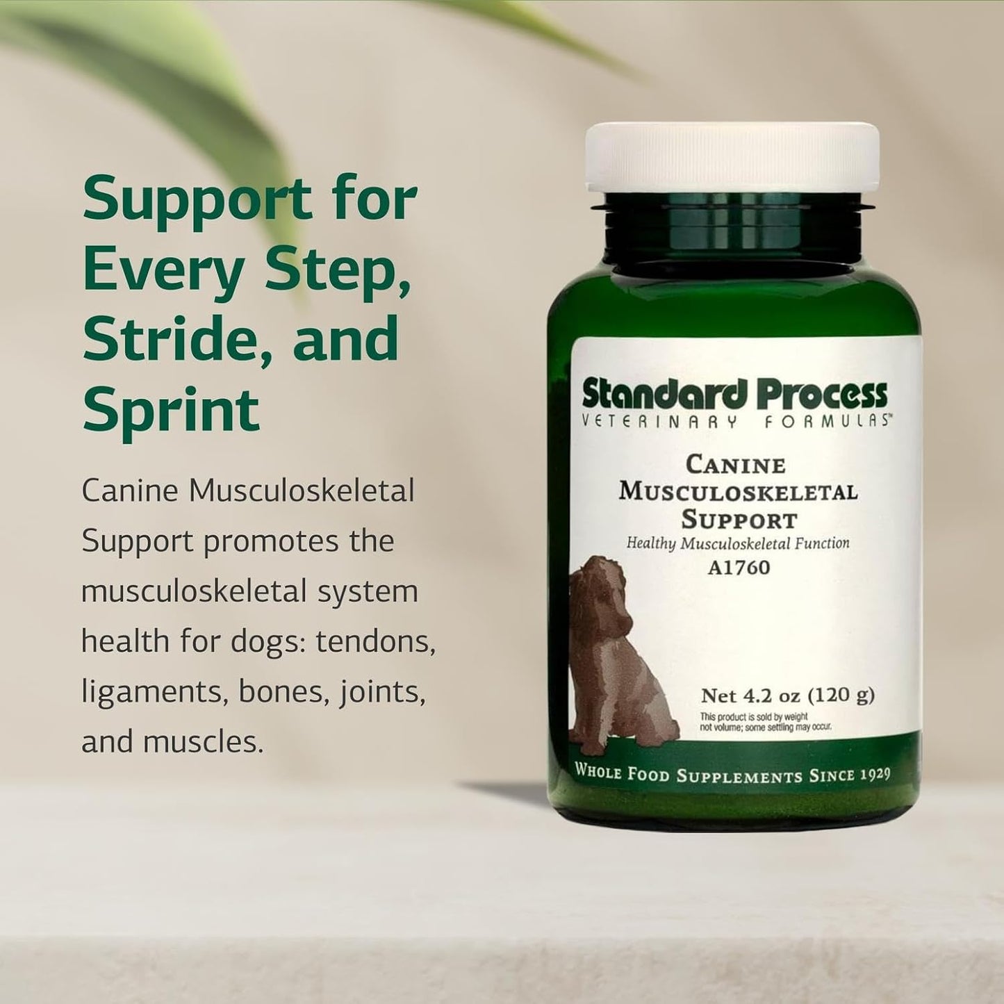 Standard Process Canine Musculoskeletal Support - Bone & Joint Health Formula for Pets - Canine Musculoskeletal Support Supplement - Supplement for Dogs to Aid Joint Comfort & Muscle Health - 120 g - Pet Explorer