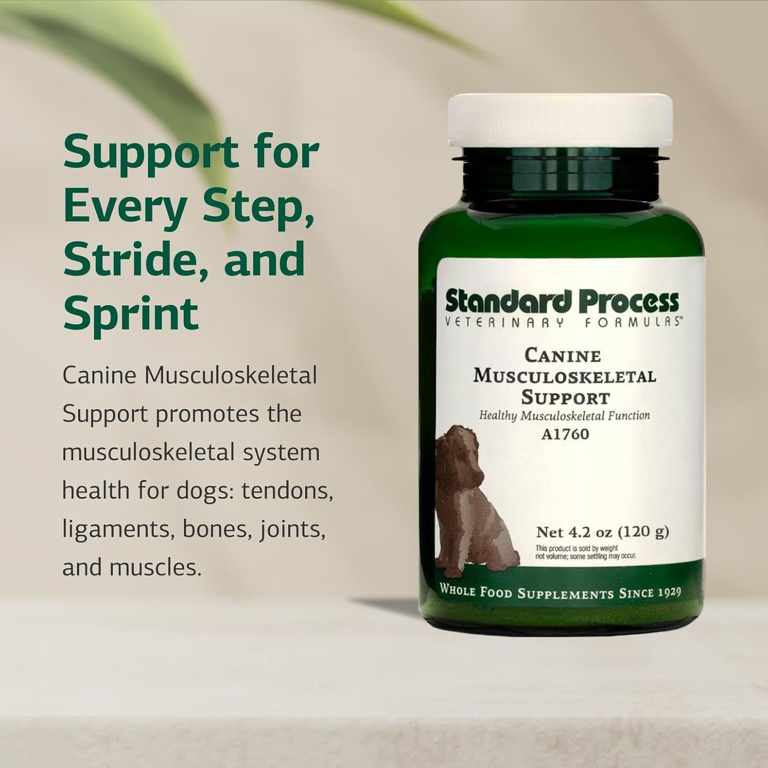 Standard Process Canine Musculoskeletal Support - Bone & Joint Health Formula for Pets - Canine Musculoskeletal Support Supplement - Supplement for Dogs to Aid Joint Comfort & Muscle Health - 120 g - Pet Explorer