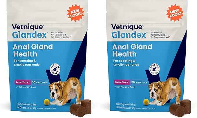 Vetnique Glandex Anal Gland Soft Chew Treats with Pumpkin for Dogs Digestive Enzymes, Probiotics Fiber Supplement for Dogs Boot The Scoot (Bacon Flavor Chews, 30 Count) (Pack of 2)