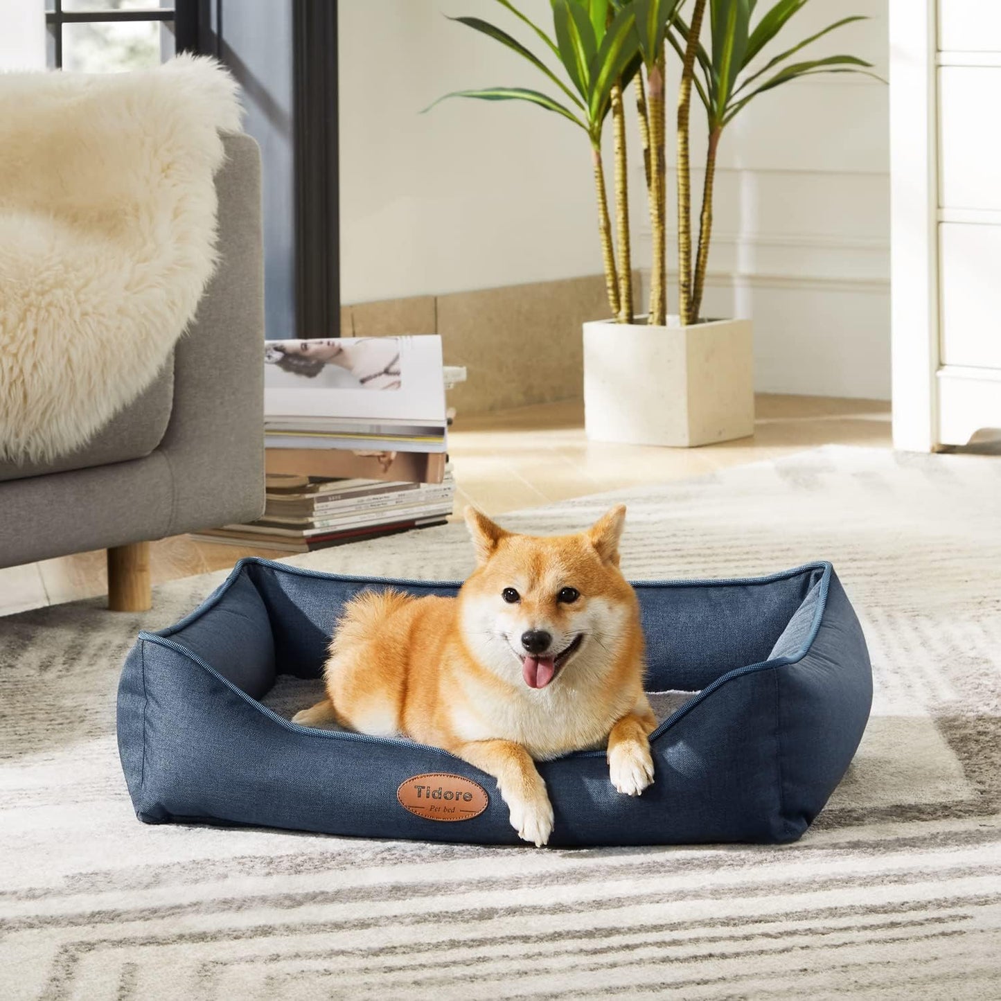 Orthopedic Dog Beds for Medium Dogs, Durable Egg Crate Foam Sofa Dog Bed wit Washable Removable Cover,Waterproof Lining,Pet Bed for Large Dogs (Navy Blue, 26.4" L x 21.7" W x 6.2" Th) - Pet Explorer