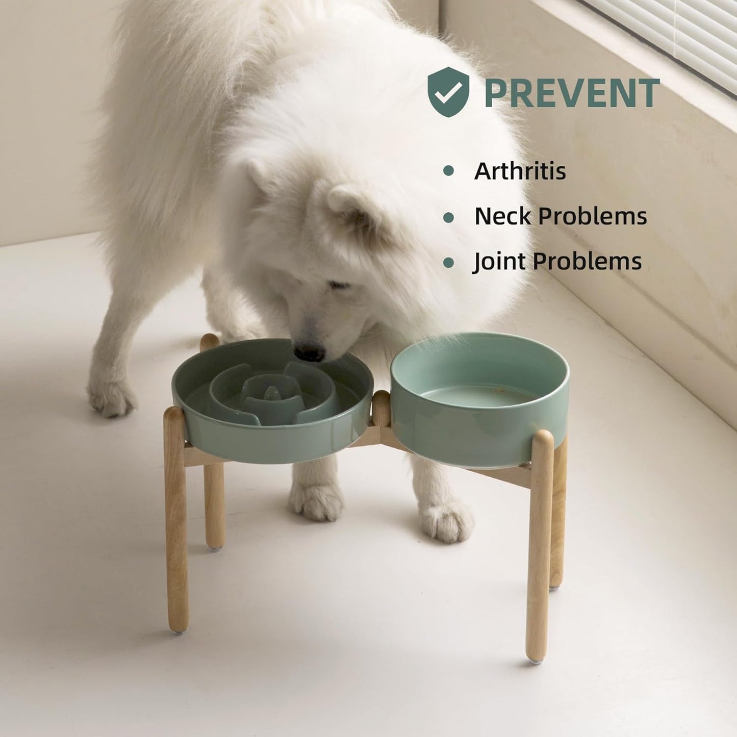 Ceramic Raised Slow Feeder Dog Bowl Set, Elevated 8.2inch Bowl and 9.5inch Puzzle Slow Food Dish with Wooden Stand for Large Dog, Anti-Gulping (2X Light Green+ Stand) - Pet Explorer